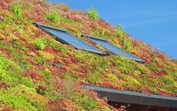 Long Johns Hill living roof systems